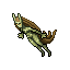 nymph