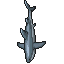 shark